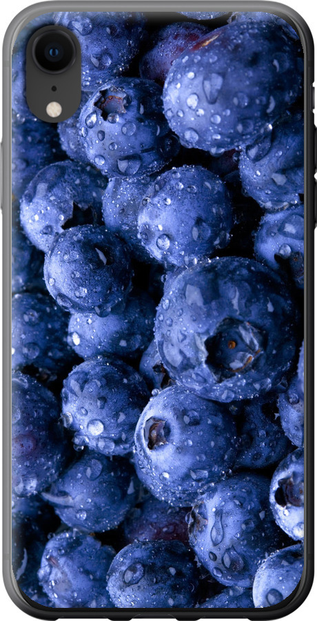 Лохина
