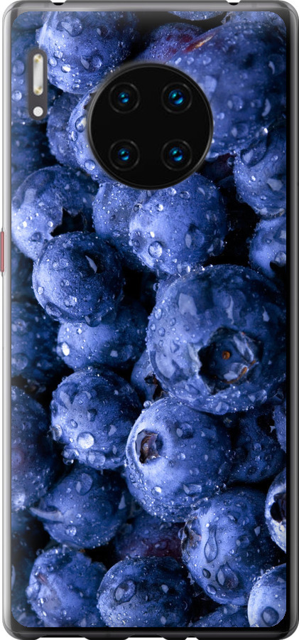 Лохина