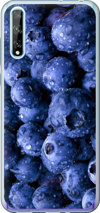 Лохина