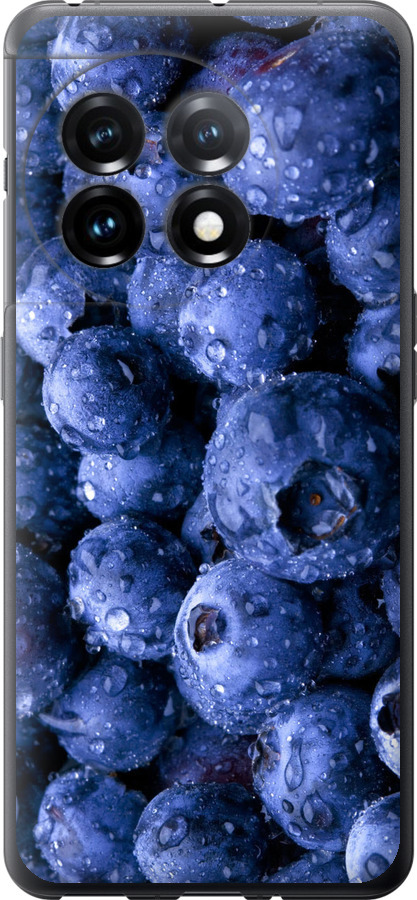 Лохина