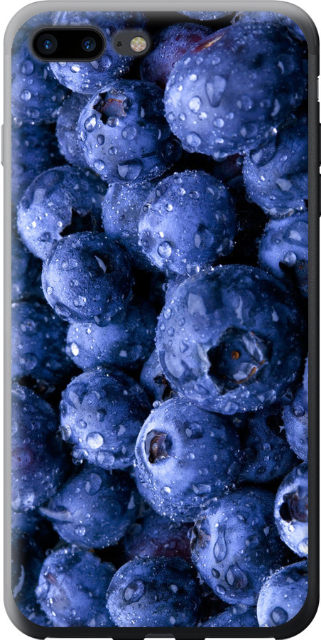 Лохина