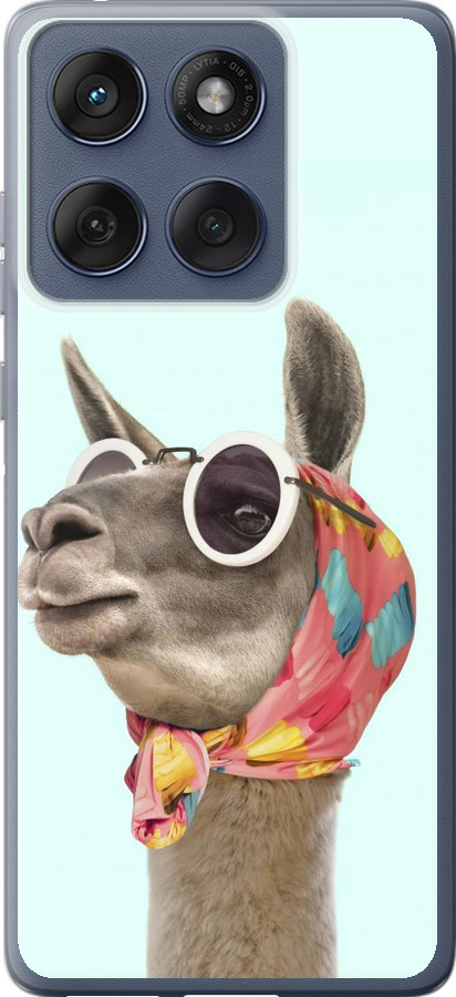 Модна лама