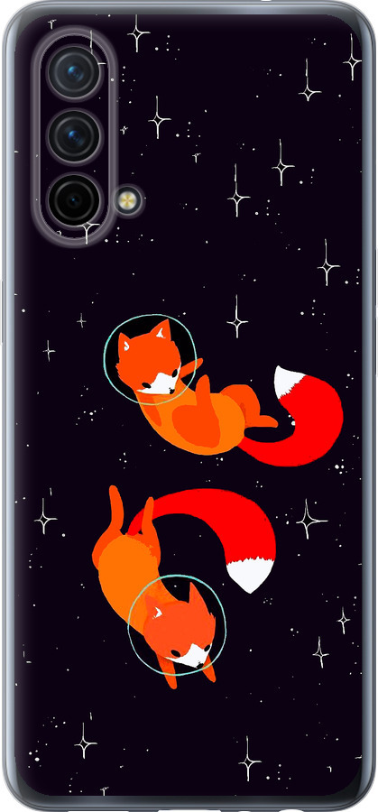 Лисички в космосі