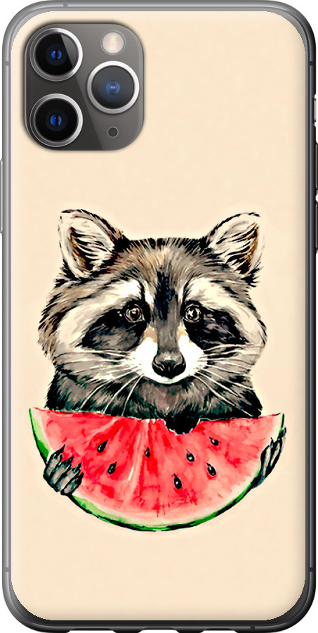 Єнотик з кавуном