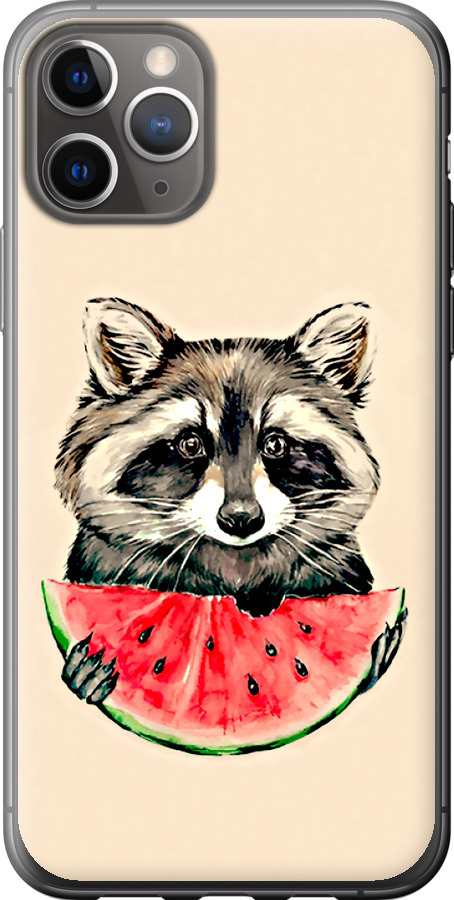 Єнотик з кавуном