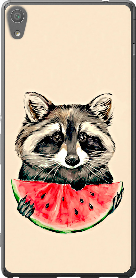 Єнотик з кавуном