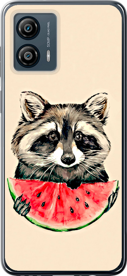 Єнотик з кавуном