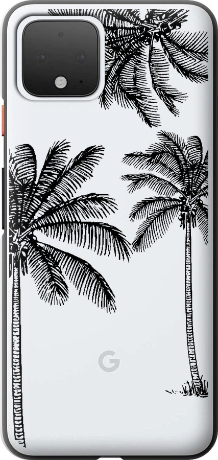 Пальми1