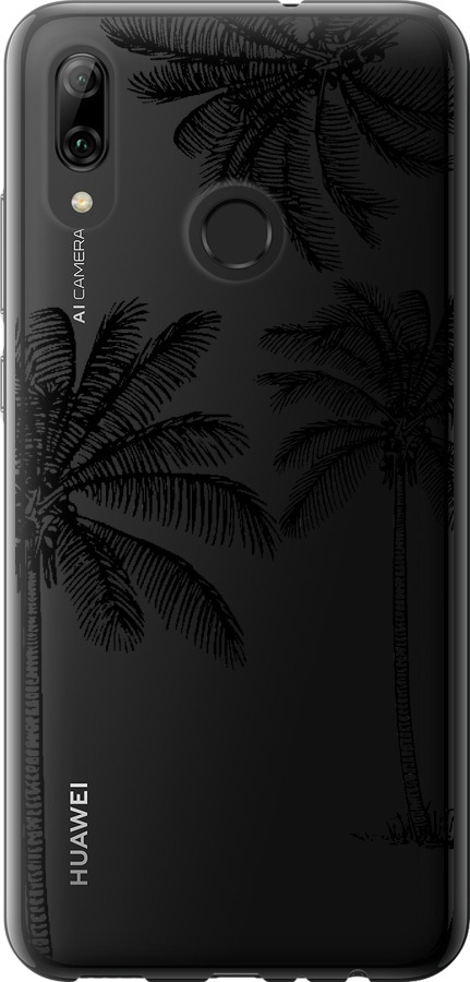 Пальми1