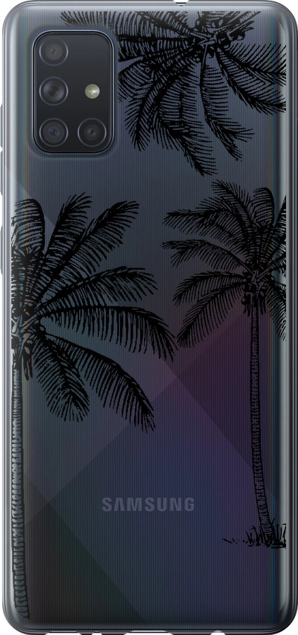 Пальми1