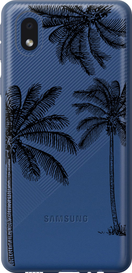 Пальми1