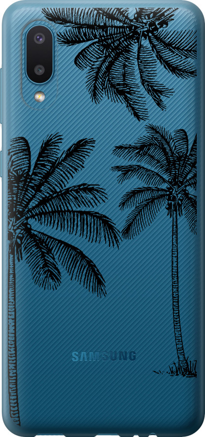 Пальми1