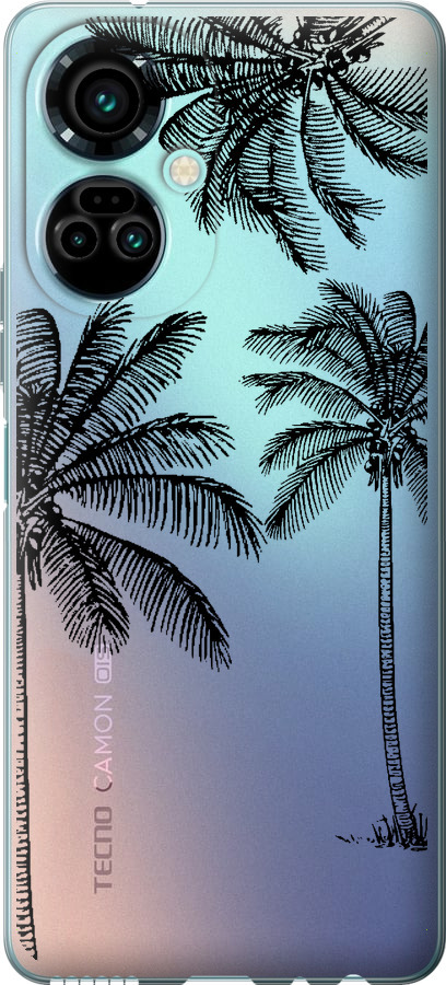 Пальми1