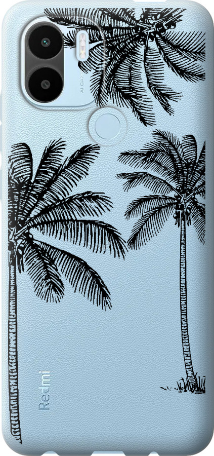 Пальми1