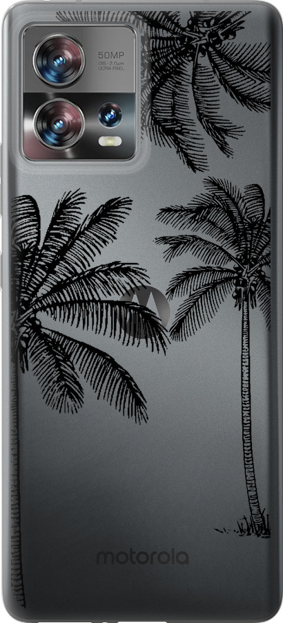 Пальми1