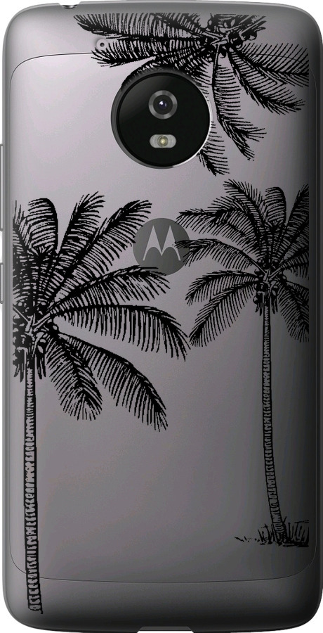 Пальми1