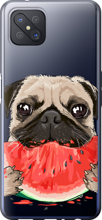 Мопс і кавун