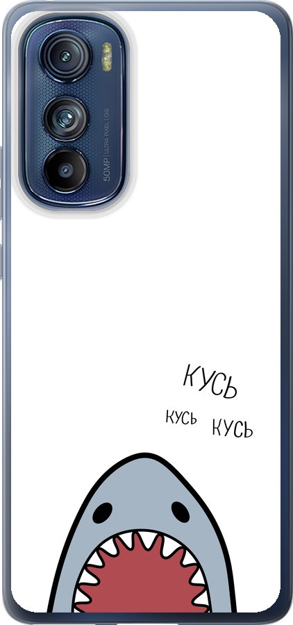 Акула