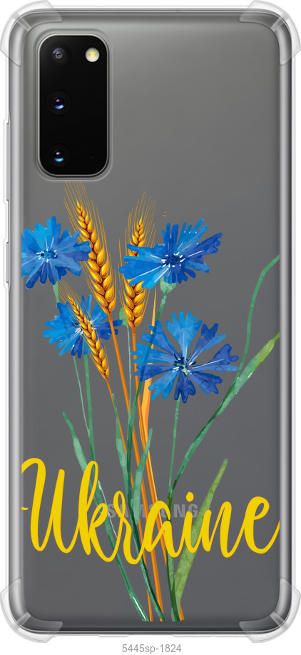 Ukraine v2