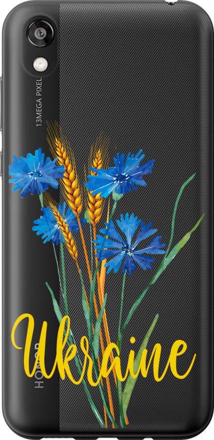 Ukraine v2