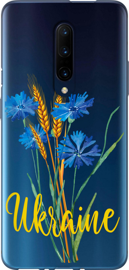 Ukraine v2