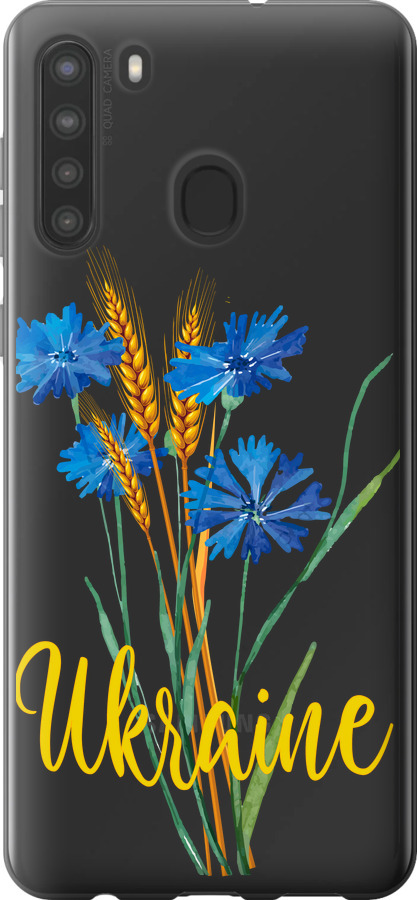 Ukraine v2