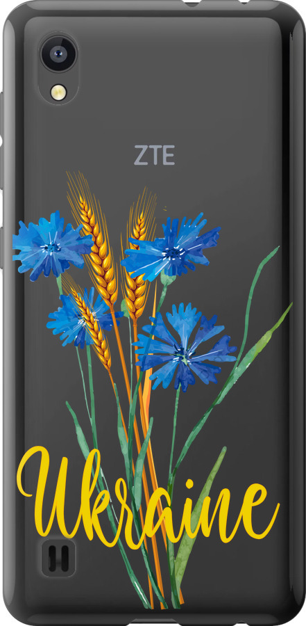 Ukraine v2