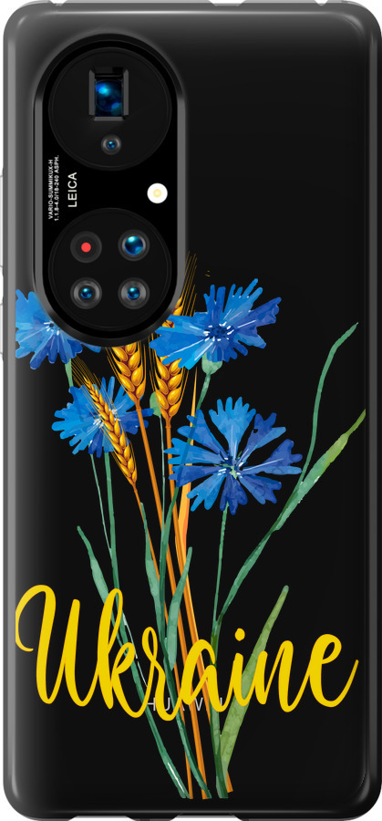 Ukraine v2