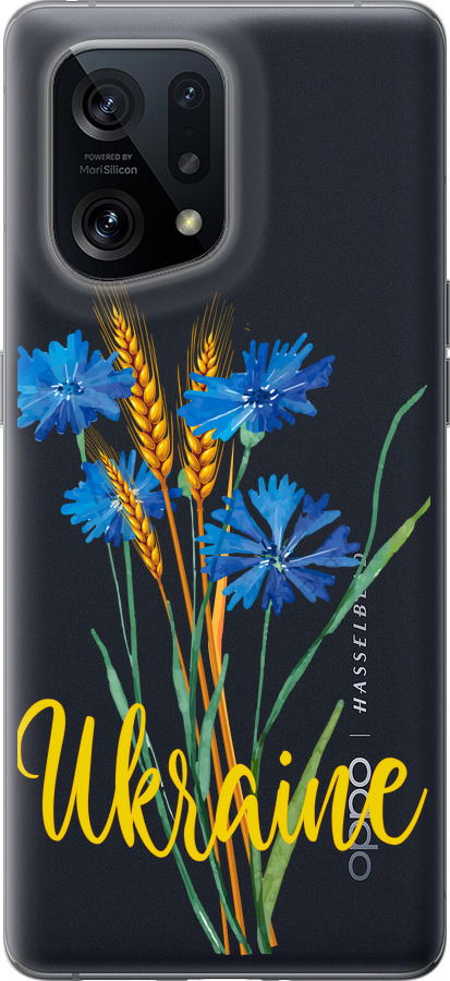 Ukraine v2