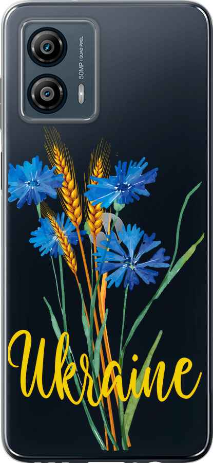Ukraine v2