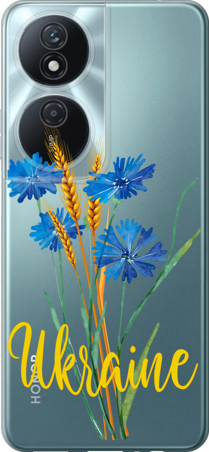 Ukraine v2