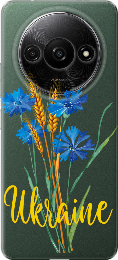 Ukraine v2