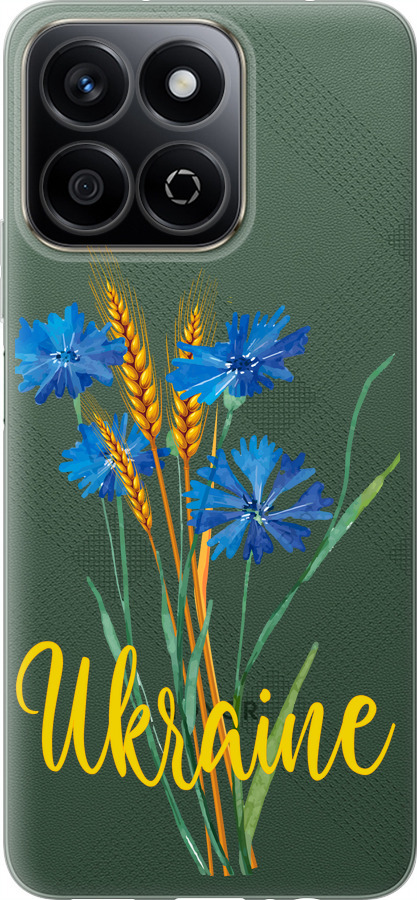 Ukraine v2