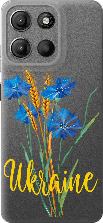 Ukraine v2