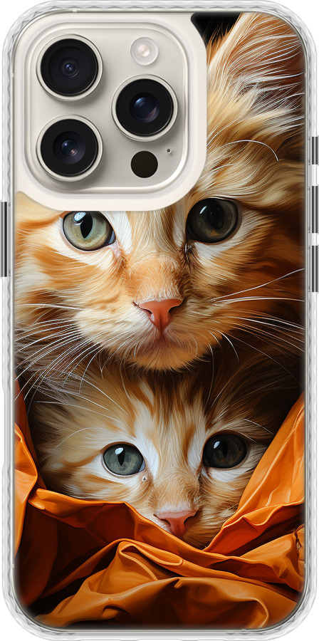 Котики 2