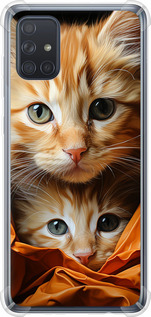 Котики 2