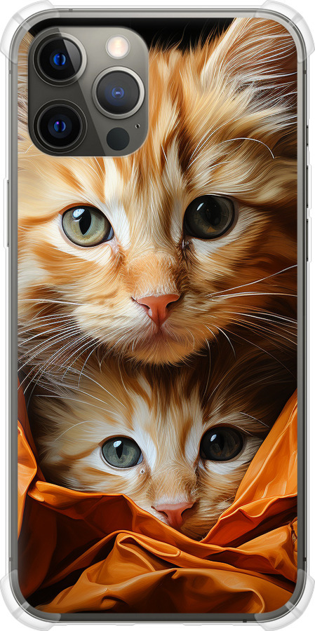 Котики 2