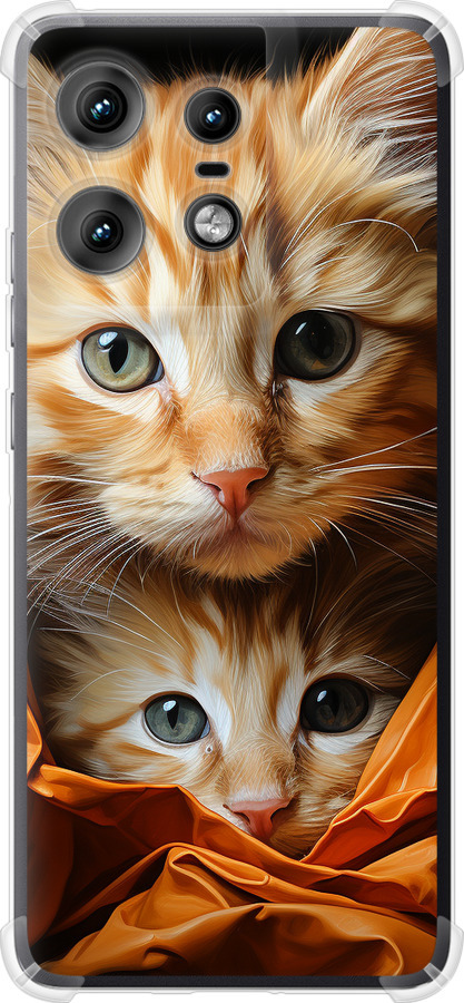 Котики 2