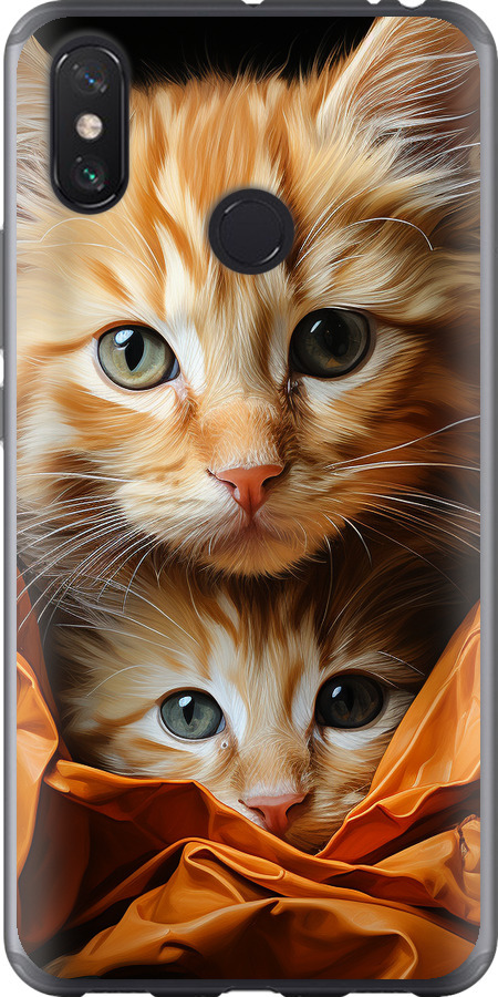 Котики 2