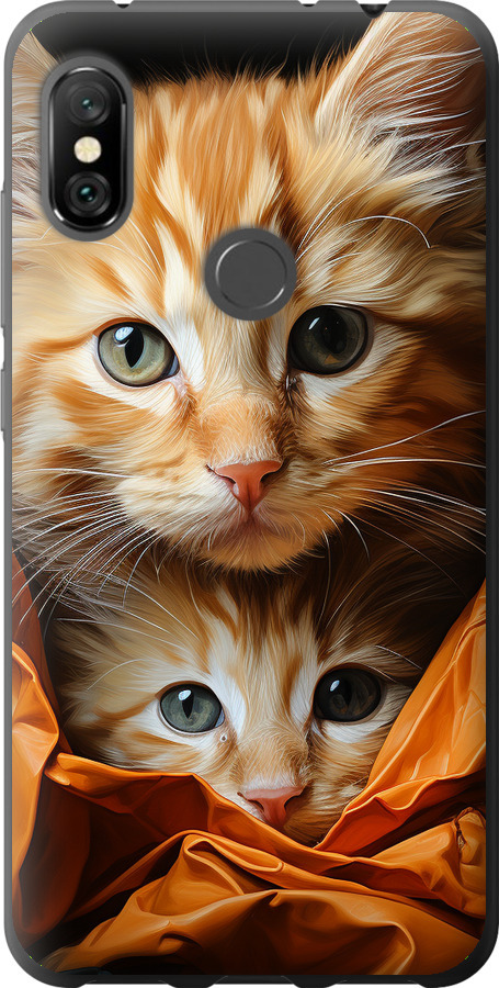 Котики 2