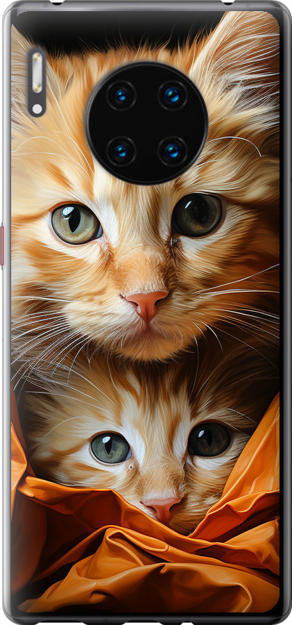 Котики 2