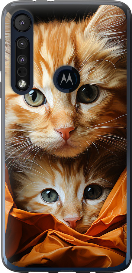 Котики 2