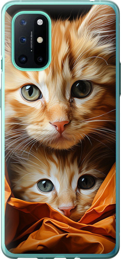 Котики 2