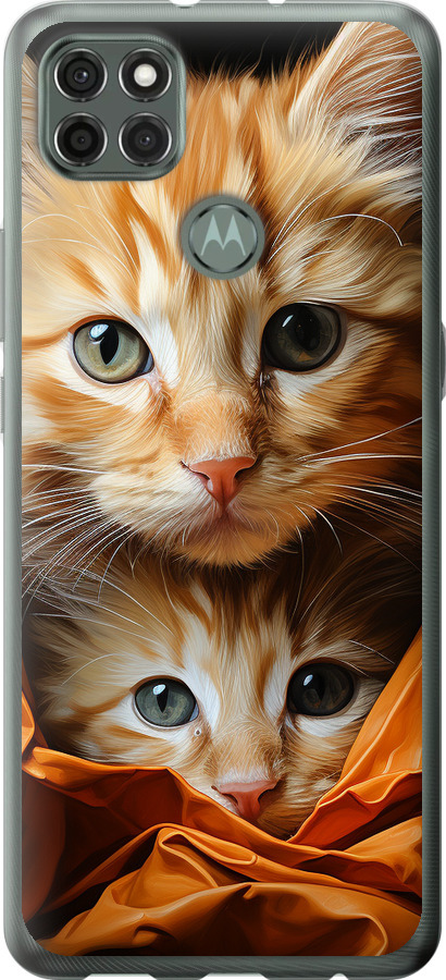Котики 2
