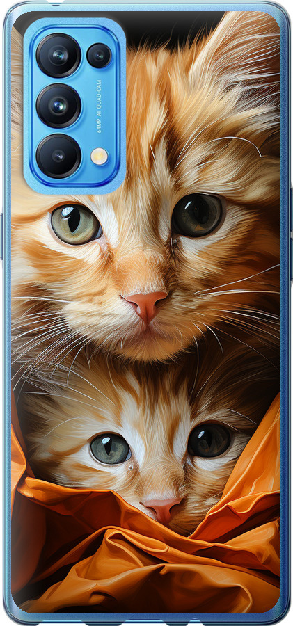 Котики 2