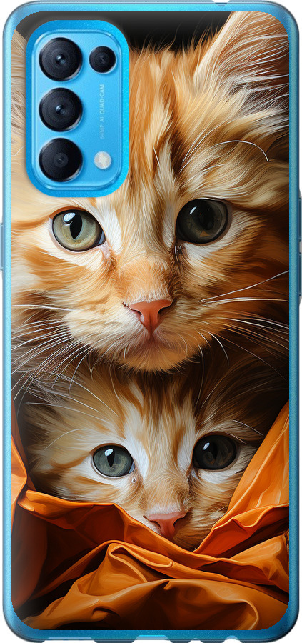 Котики 2