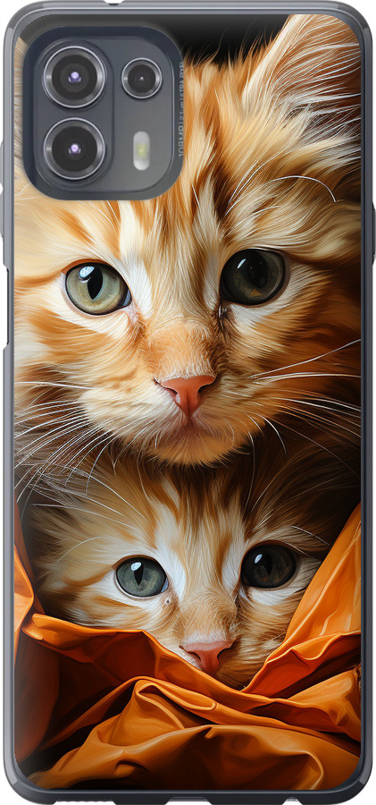 Котики 2