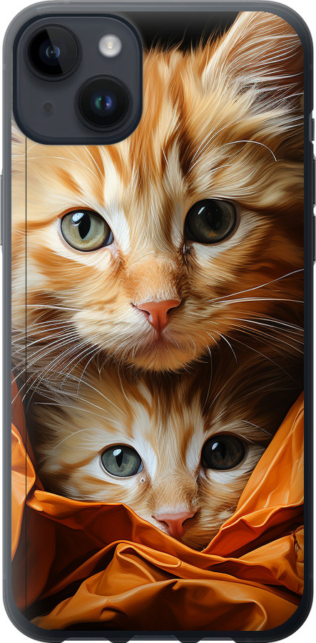 Котики 2