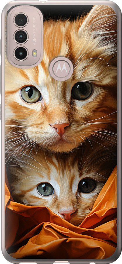 Котики 2