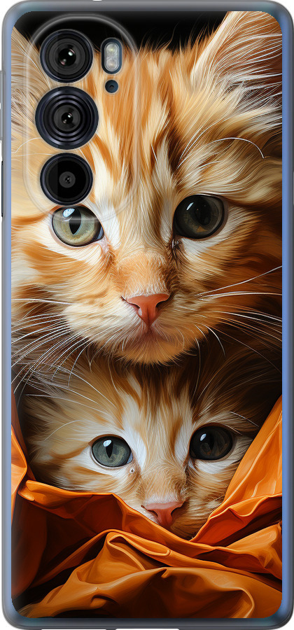 Котики 2